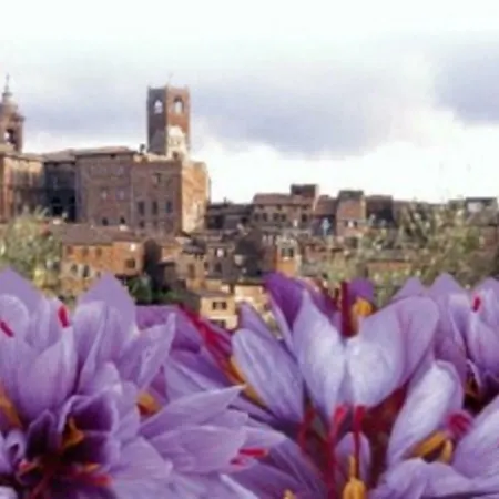 Romantico 36 Апартаменты